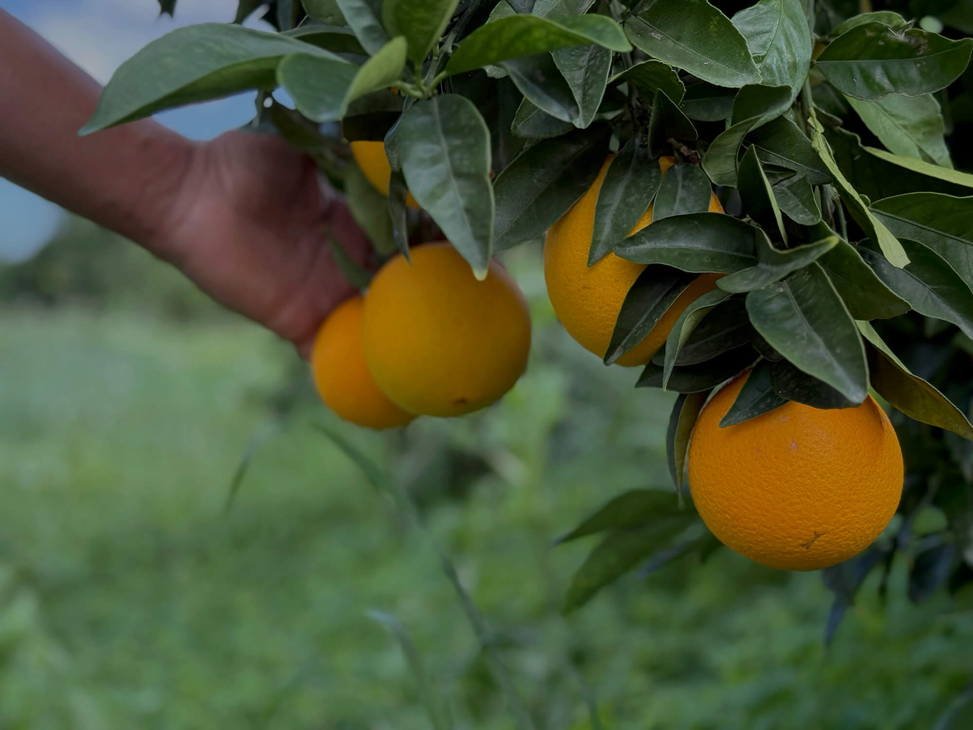 Quando la natura dice “ora sì”