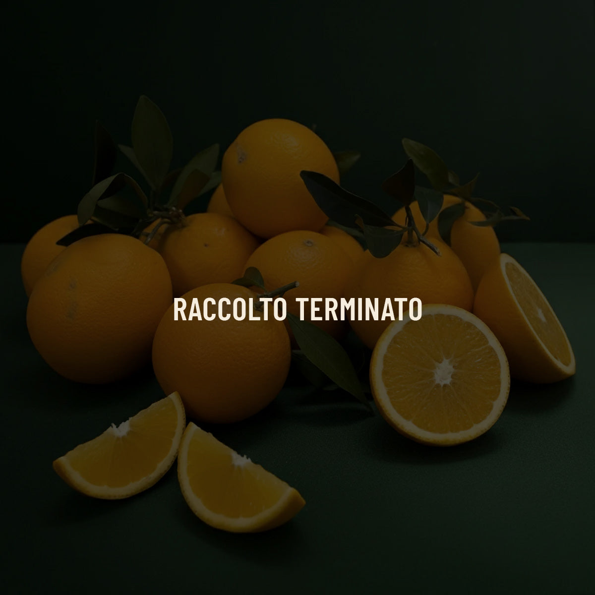 Box di Arance Siciliane Navel