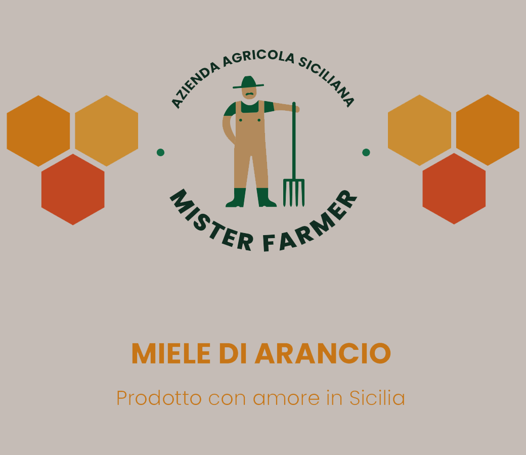Miele di Arancio Bio 400 g